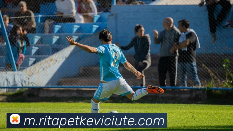 奖项证书